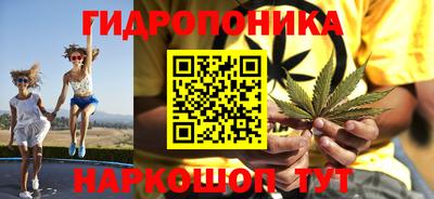 эйфоретик Бердск