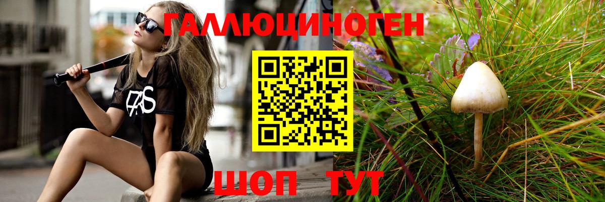 Псилоцибиновые грибы Magic Shrooms Артём