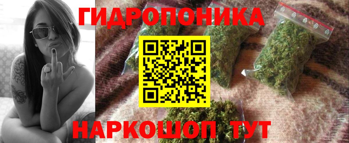 Канабис Amnesia Артём